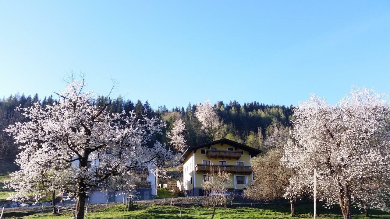 Ferienhaus Karin Bruck an der Grossglocknerstrasse Exterior photo